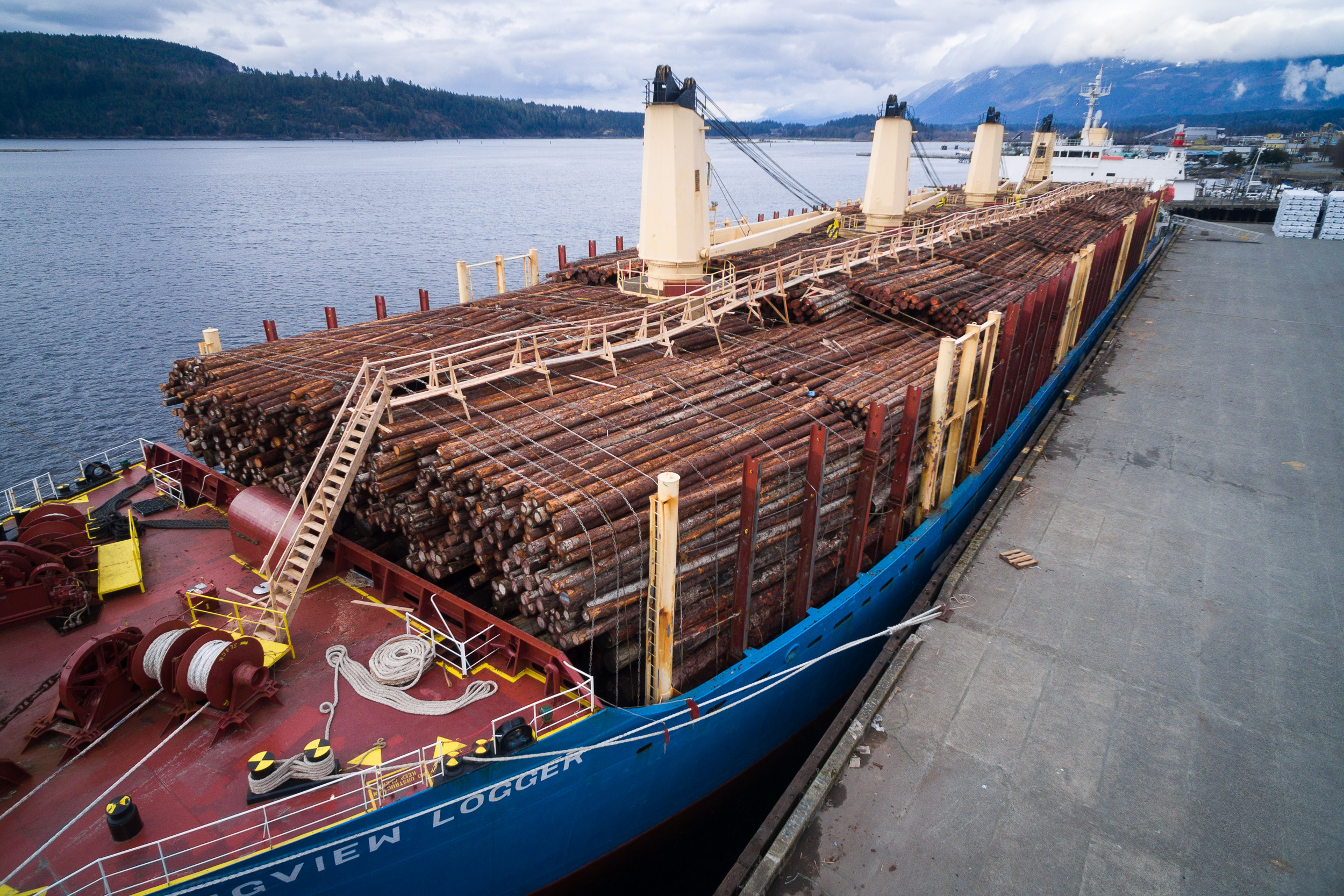 Photo: Raw log export ship in Port Alberni (TJ Watt, Ancient Forest Alliance).