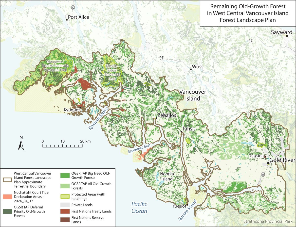 This is a map of the area under the 2025 West Central Vancouver Island Forest Landscape Plan.