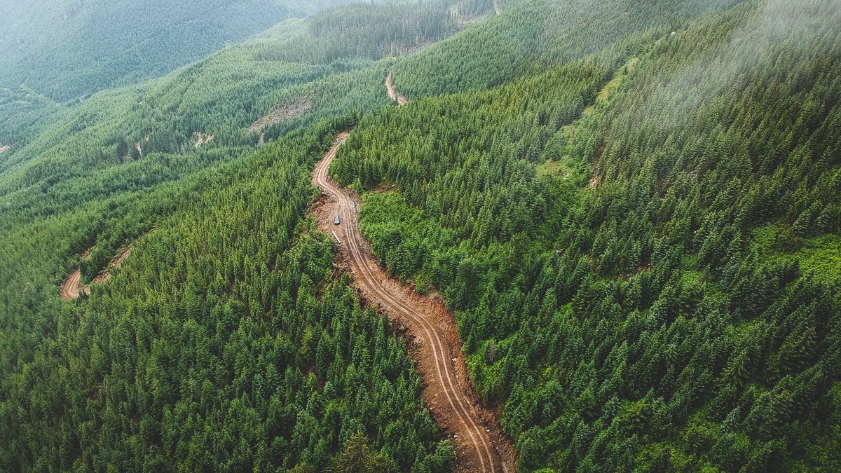 Cutblock SP225. Logging near Spuzzum long term wildlife habitat area in 2019. 
