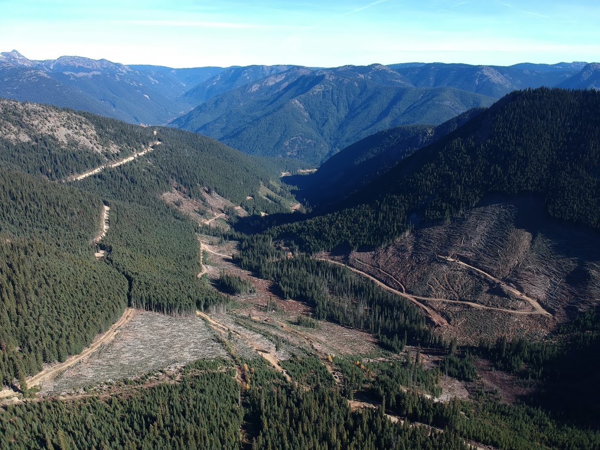 Smitheram Valley in the Donut Hole. In 2018 BC Timber Sales logged the fresh clearcuts seen in the foreground.
