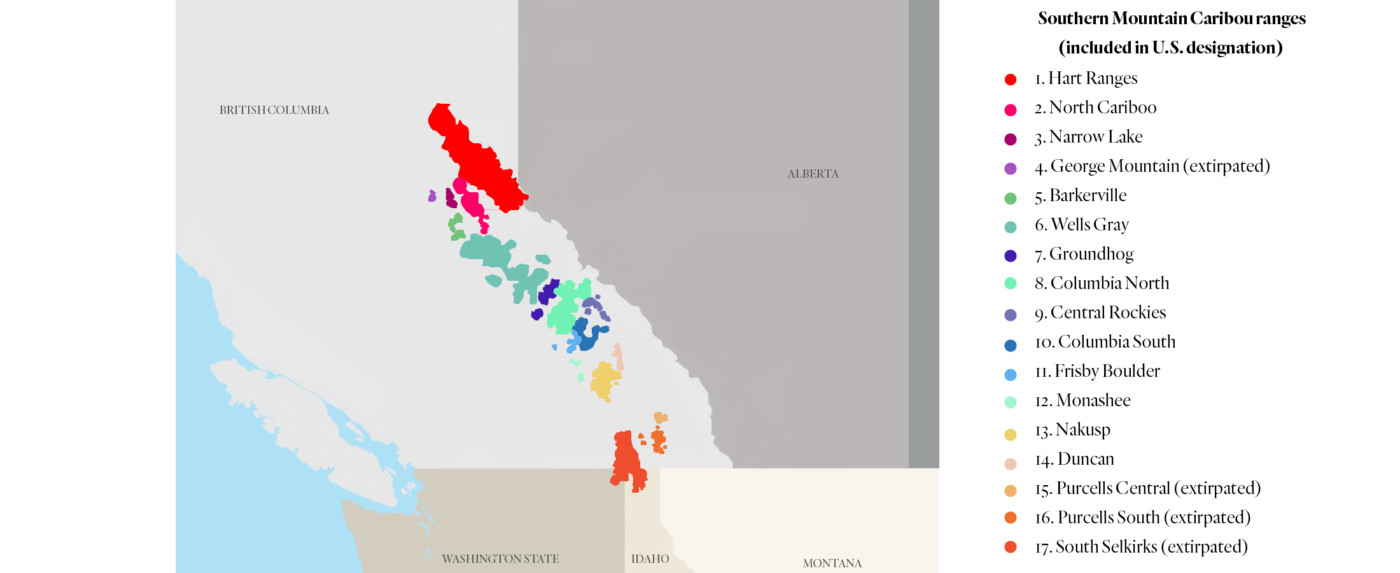 The U.S. Endangered Species Act listing named 17 southern mountain caribou population units in B.C. that are important for the eventual reintroduction of caribou in the U.S. Caribou herds in four of the units are now extirpated. Southern mountain caribou are also endangered in other parts of B.C. Map: Carol Linnitt / The Narwhal