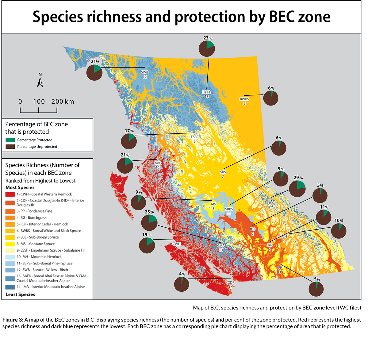 Species richness and protection by BEC zone map and graphs