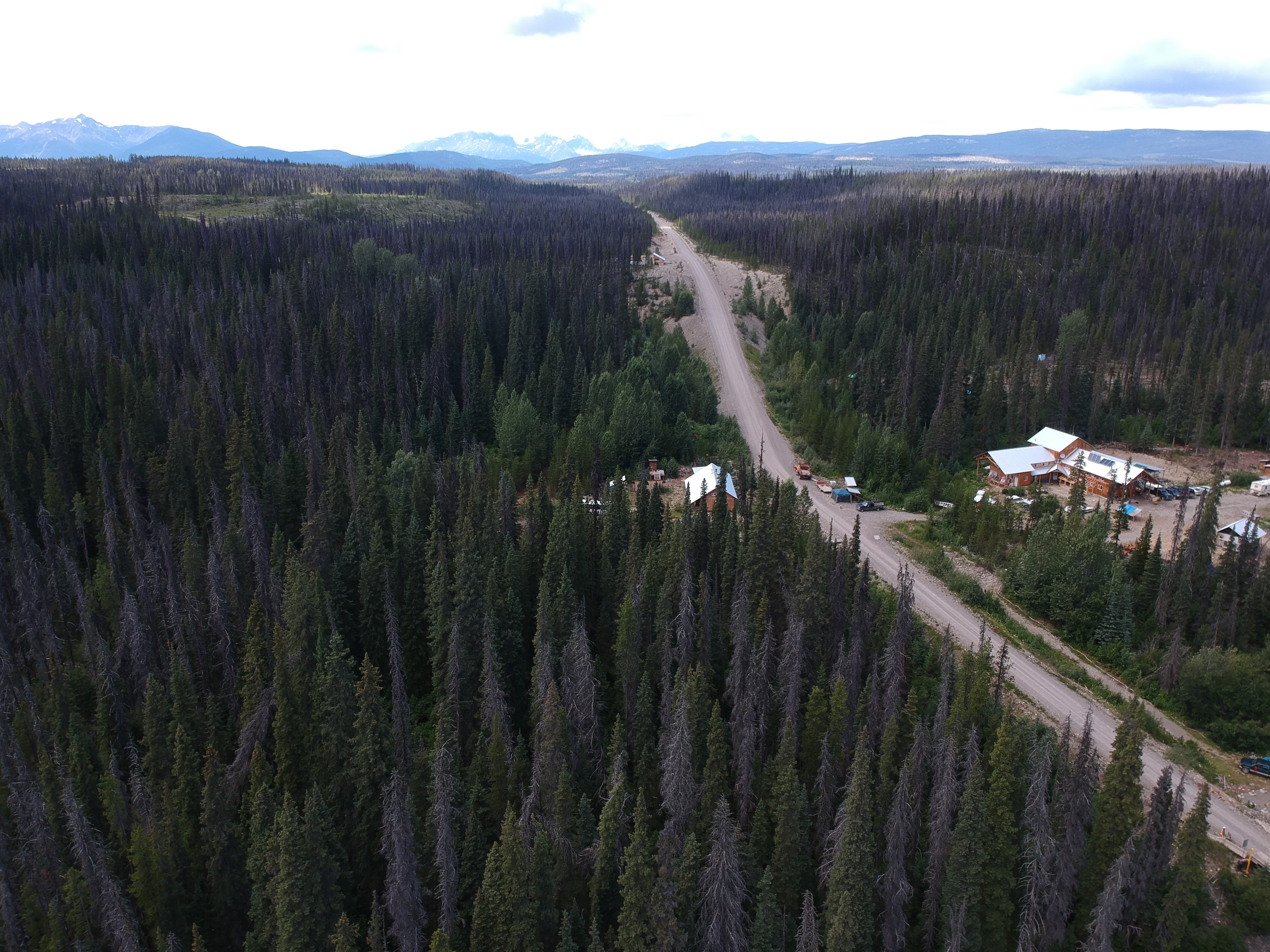 A road going through Unist’ot’en Village on Wet’suwet’en territory. End of image description.