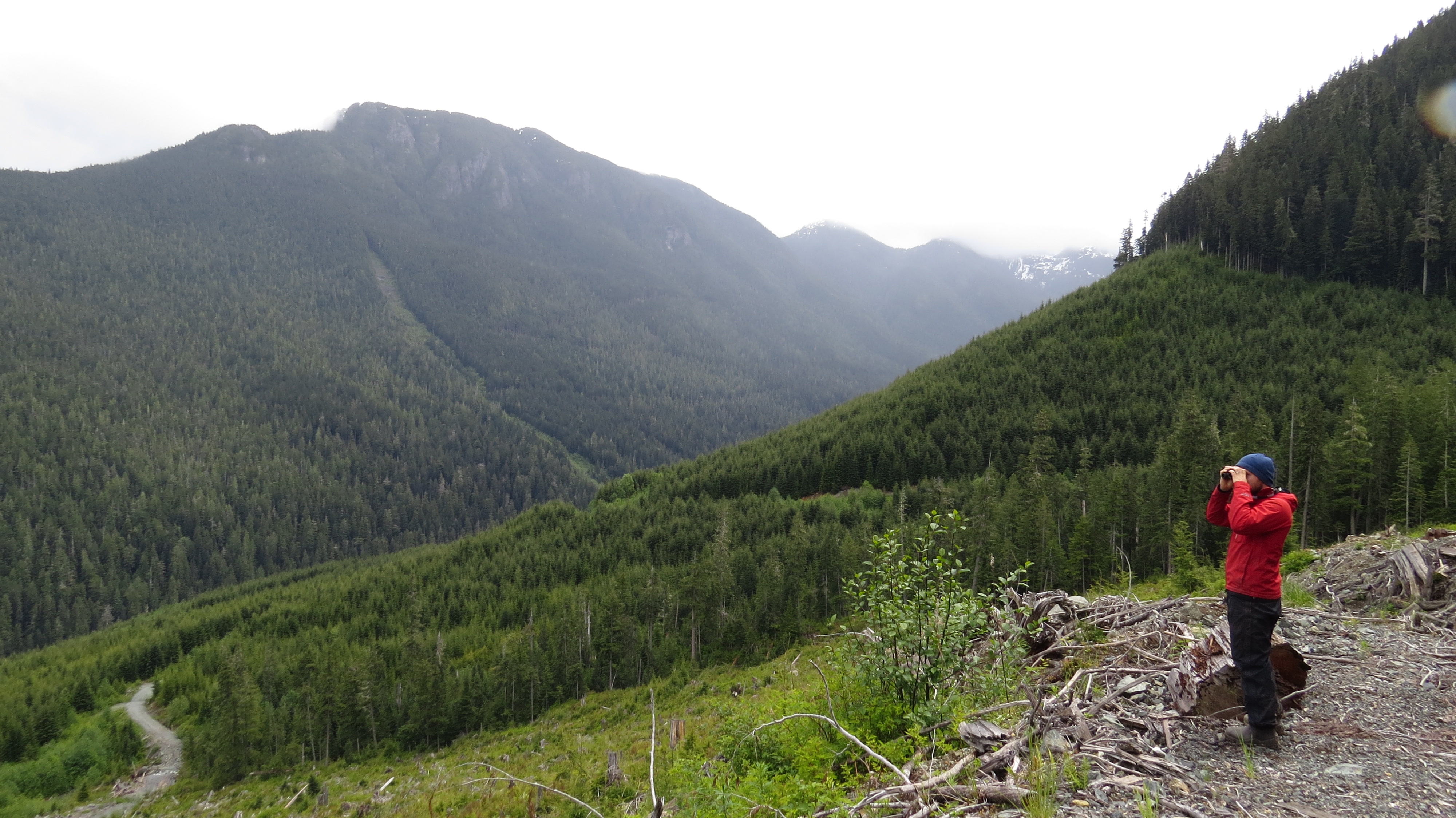 Wilderness Committee Campaigner Torrance Coste checks out logging activity in Schmidt Creek