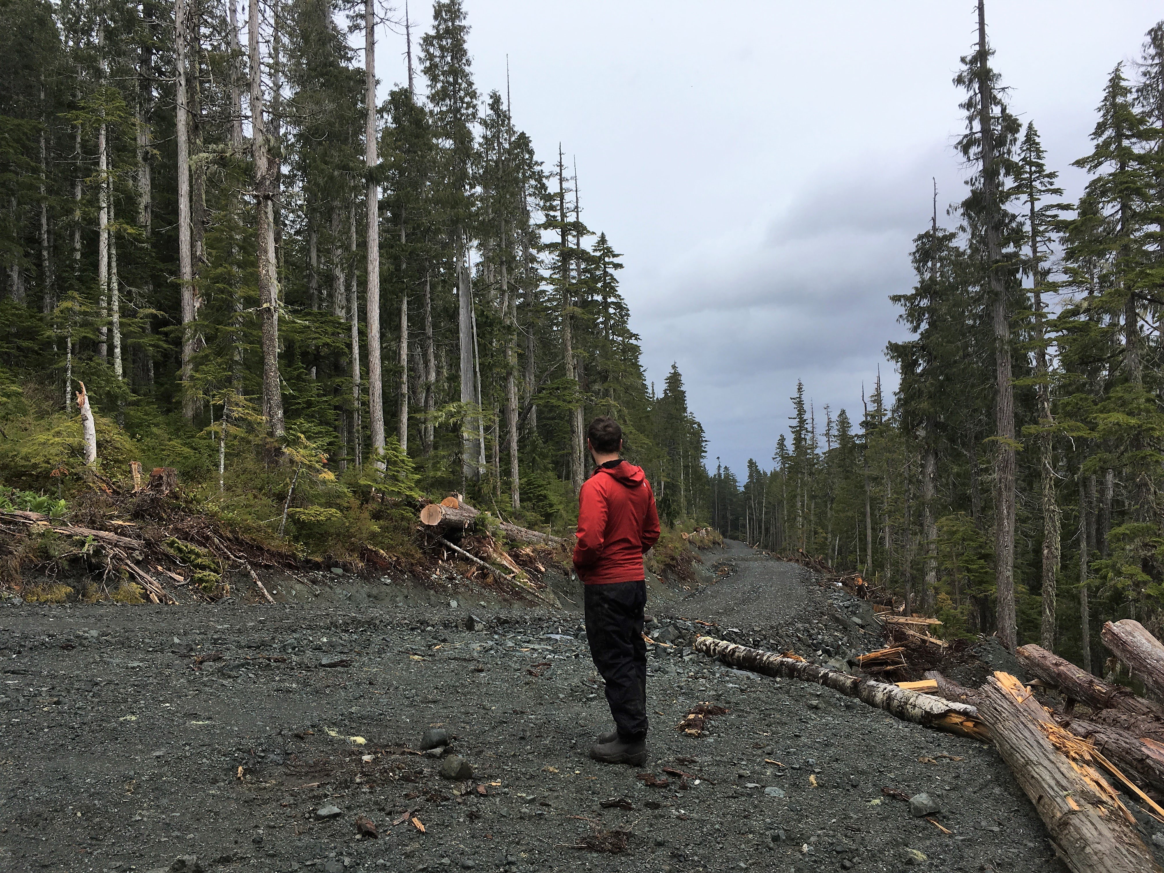 Wilderness Committee Vancouver Island Campaigner Torrance Coste on new BCTS logging road in Shmidt Creek.