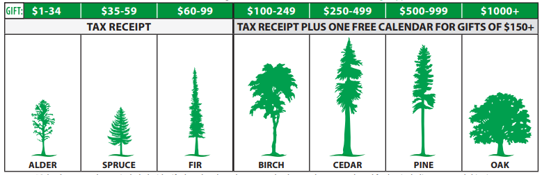 Graphic showing our donation levels: alder is under $35, spruce is $35-$59, fir is $60-$99, birch is $100-$249, cedar is $250-$499, pine is $500-$999 and oak is $1000+. All gifts get a tax receipt; gifts over $150 also get a free calendar.