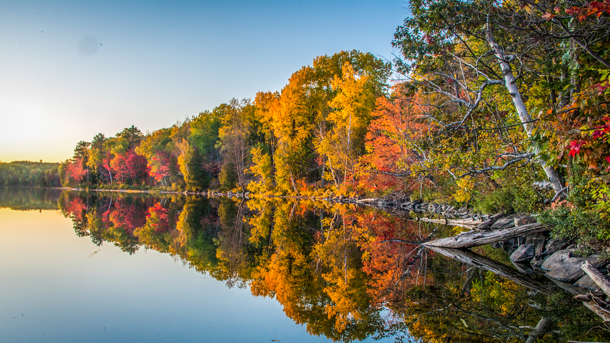 Lake in Algonquin