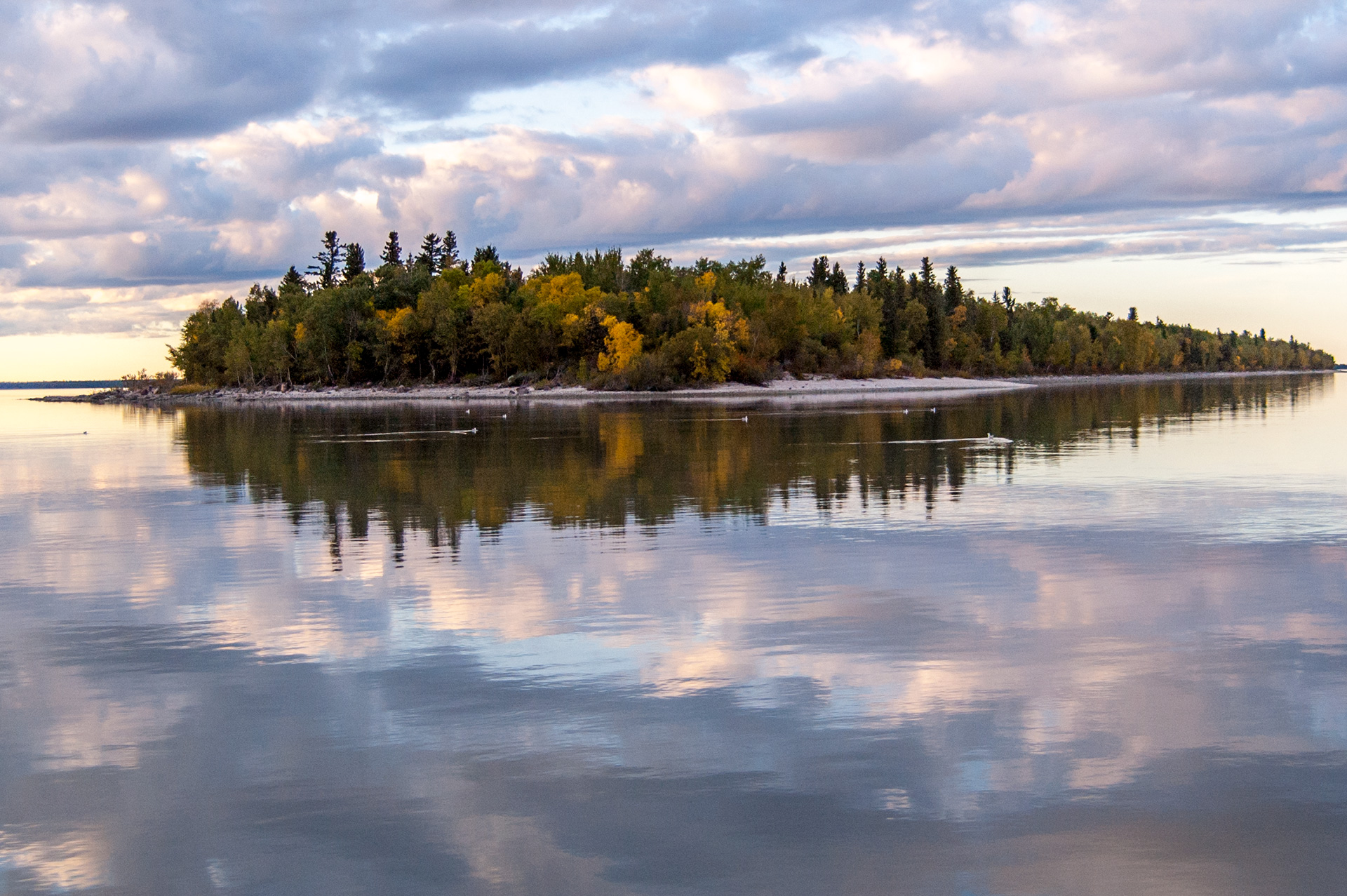 Fisher bay