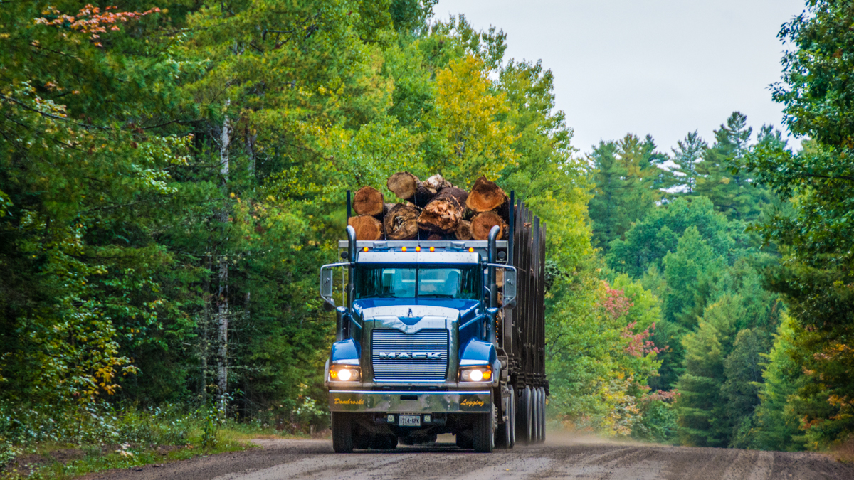 Logging truck in Algonquin