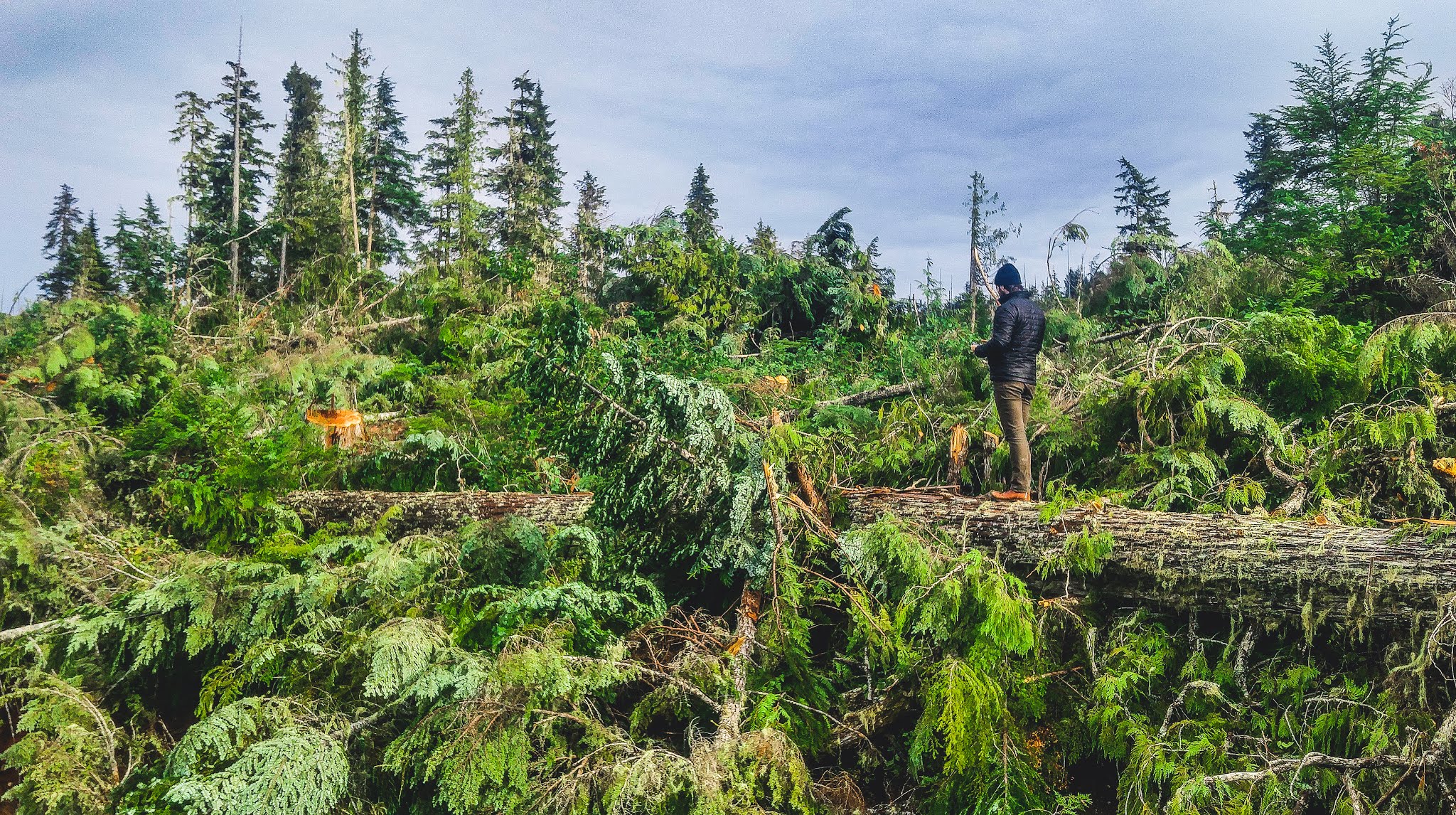 mark worthing on a felled tree