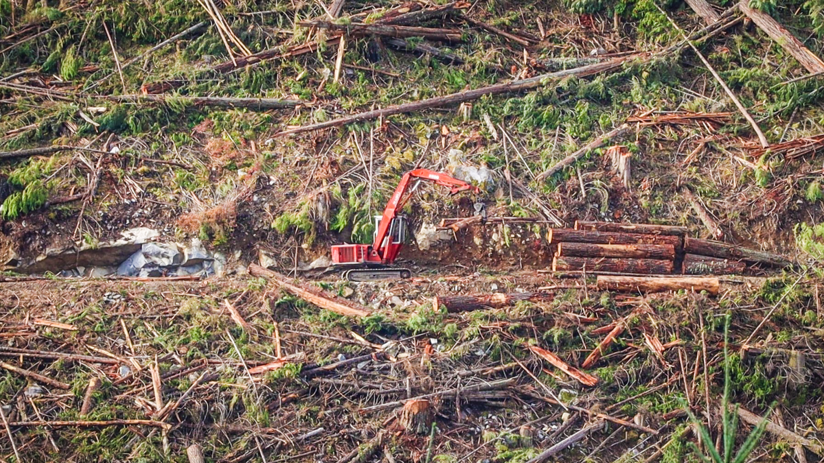 2800 Madill log loader working in BC Timber Sales cutblock SP215.