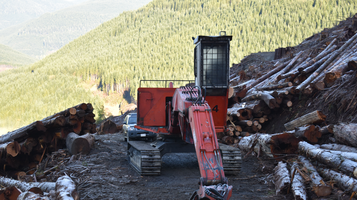 Old-growth logging by Teal Jones in the Caycuse Valley, October, 2020 (3 photos)