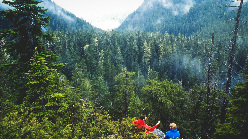 clayoquot shot