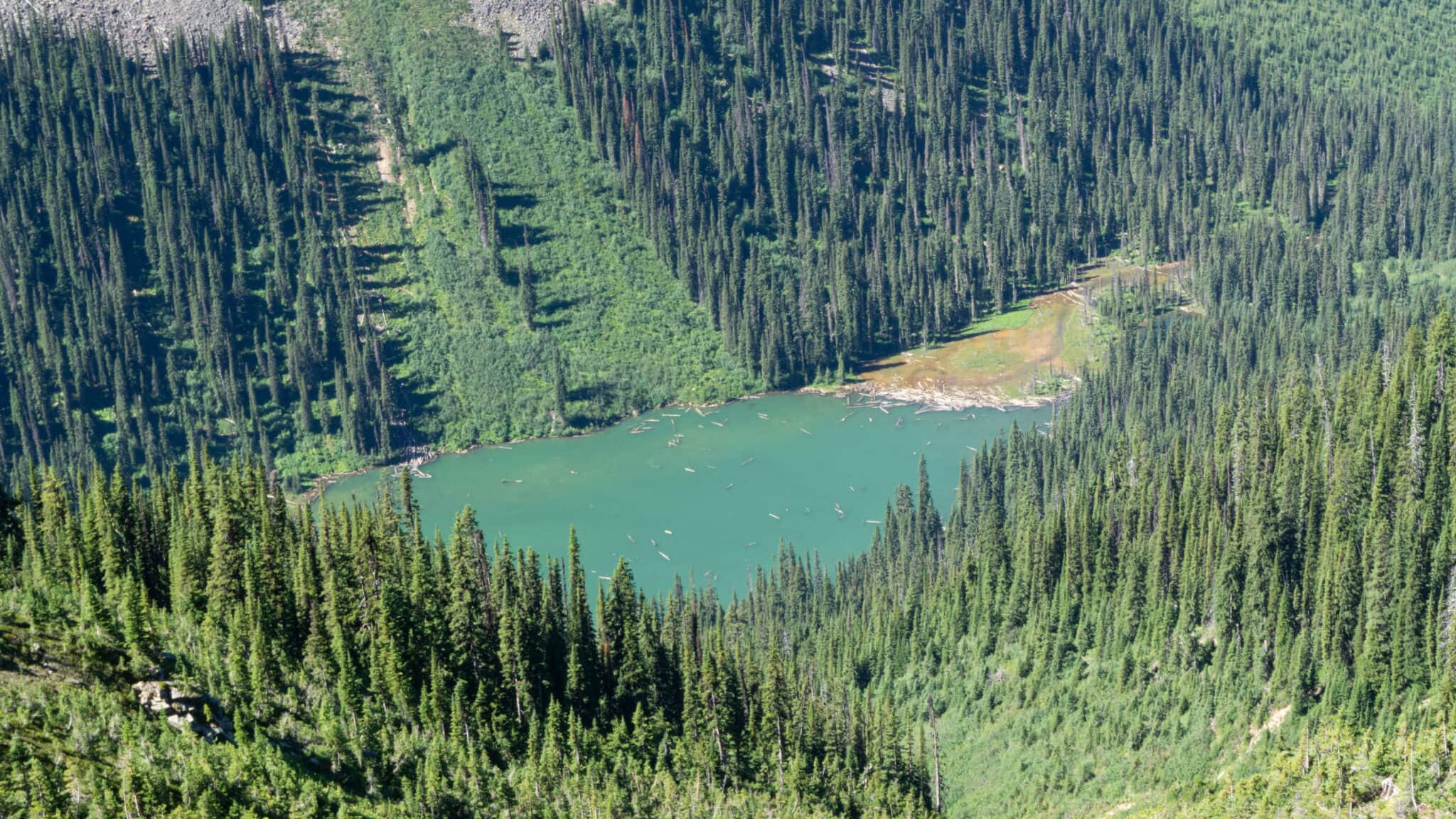 The B.C. government has agreed to halt most proposed logging in the Argonaut Valley after public pressure. Photo: Wildsight