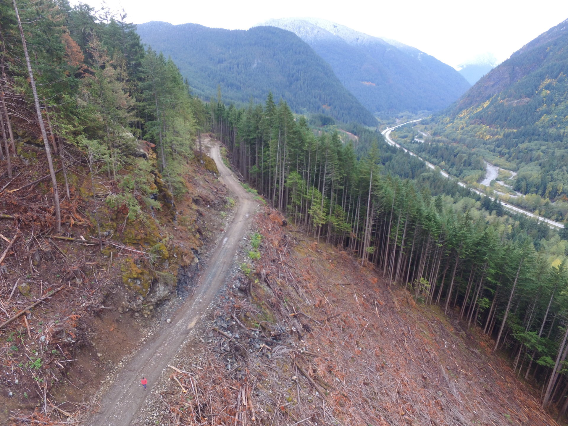 The Karen Creek clearcut, in a watershed located just east of Hope, B.C., within a Wildlife Habitat Area designated by the B.C. government to preserve Northern Spotted Owl habitat. Photo: Wilderness Committee