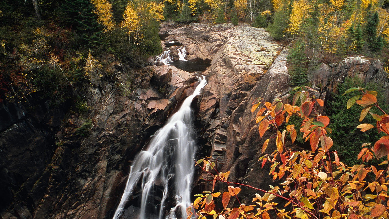 Algonquin Provincial Park (Garth Lenz).