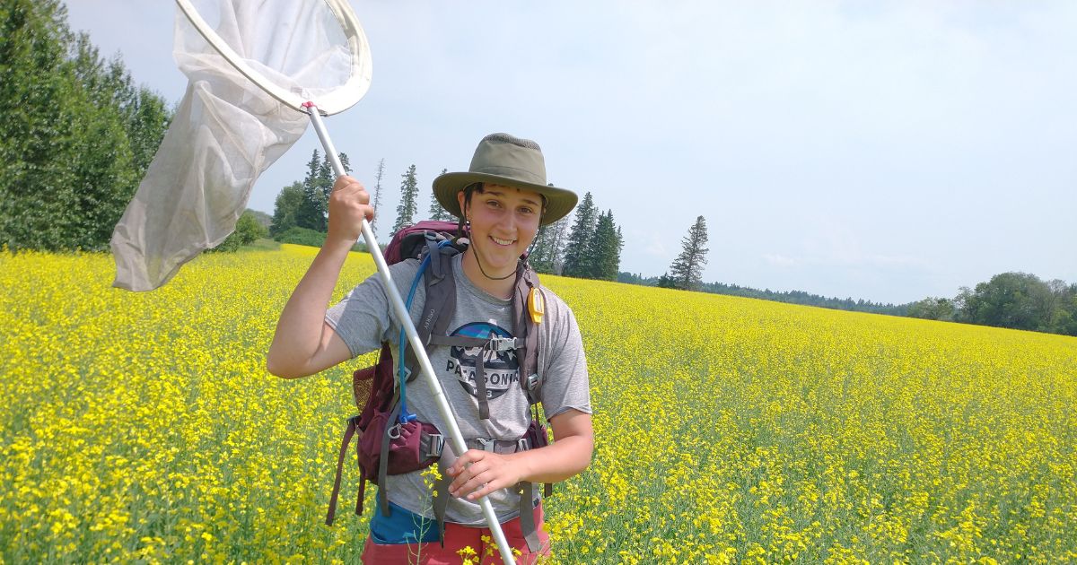  A photo of Tobyn in a canola field with a bug catching net. End of image description.