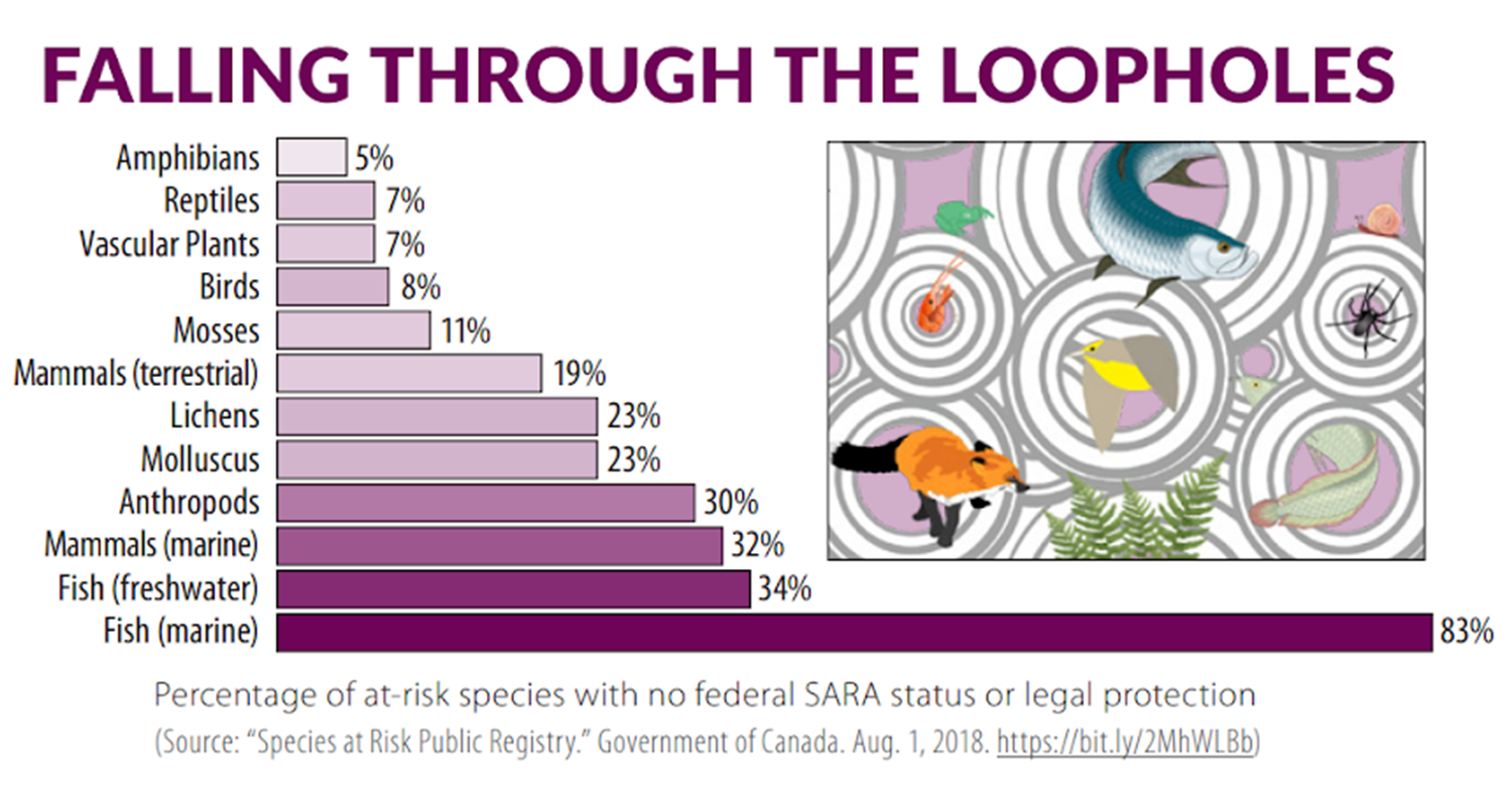 A graph showing the loopholes and how it's failing different species. End of image description.