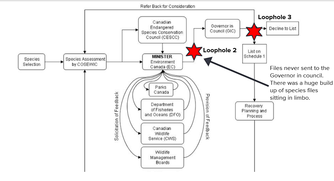 A flowchart that pinpoint all the loopholes in SARA. End of image description.