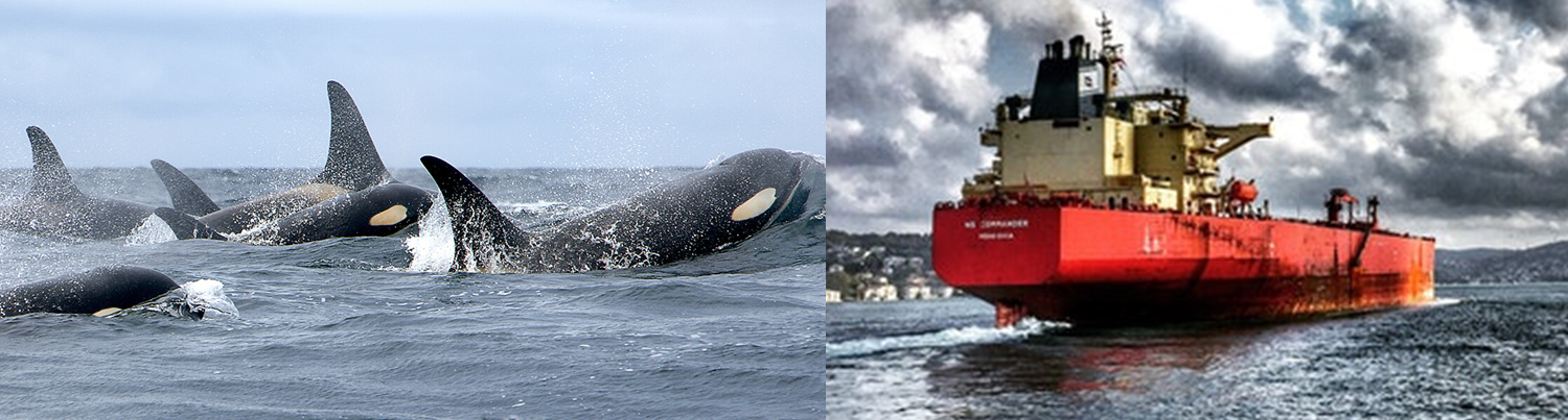 A collage of a pod of whales a boat. End of image description.