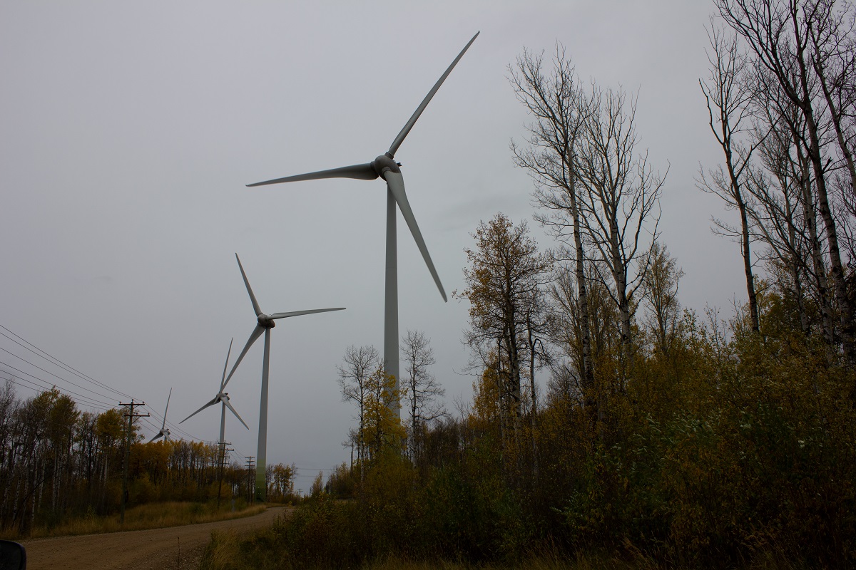A set of wind turbines surrounded by trees. End of image description. 