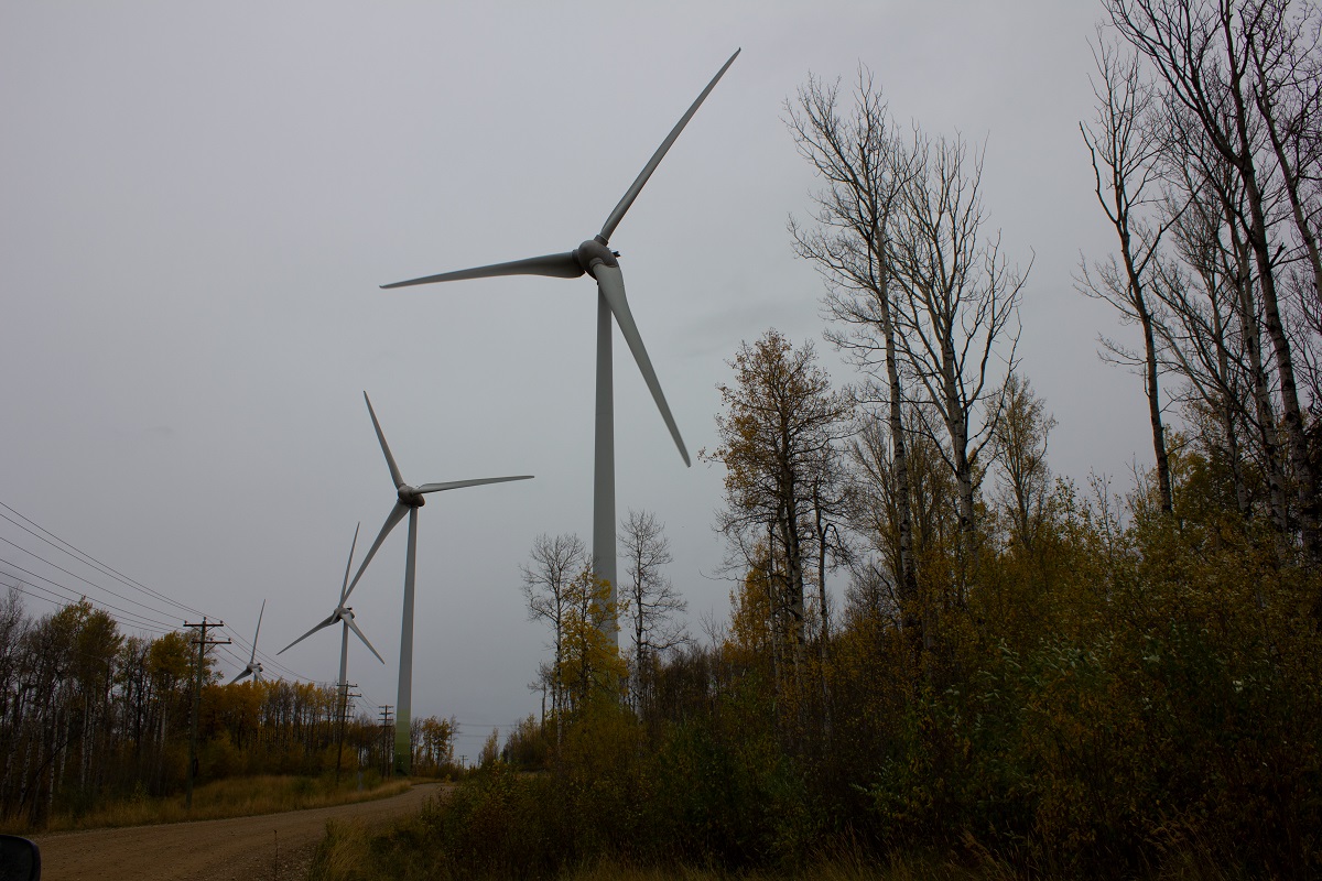 A set of wind turbines surrounded by trees. End of image description.