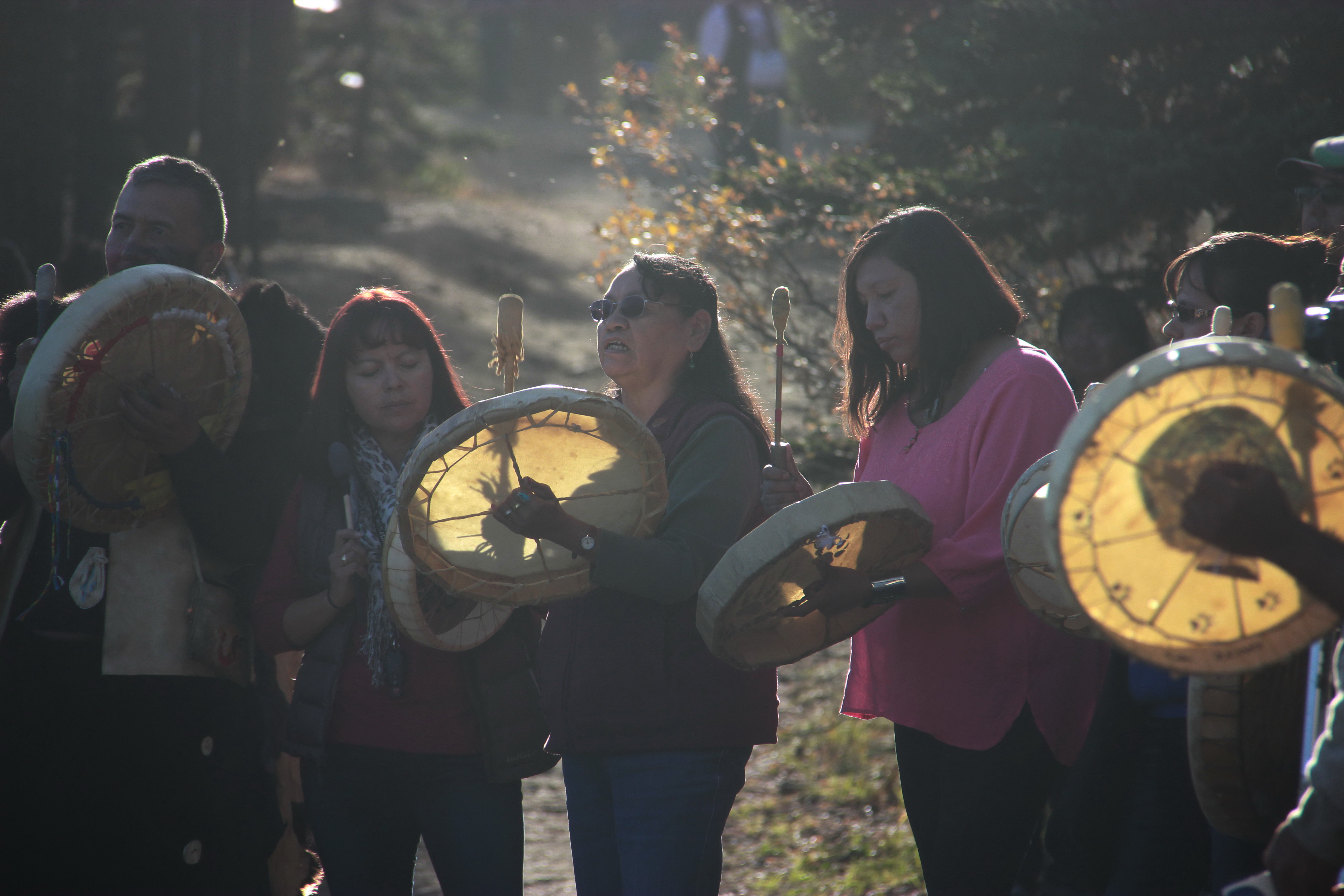 A group of Indigenous people in a circle drumming. End of image description.