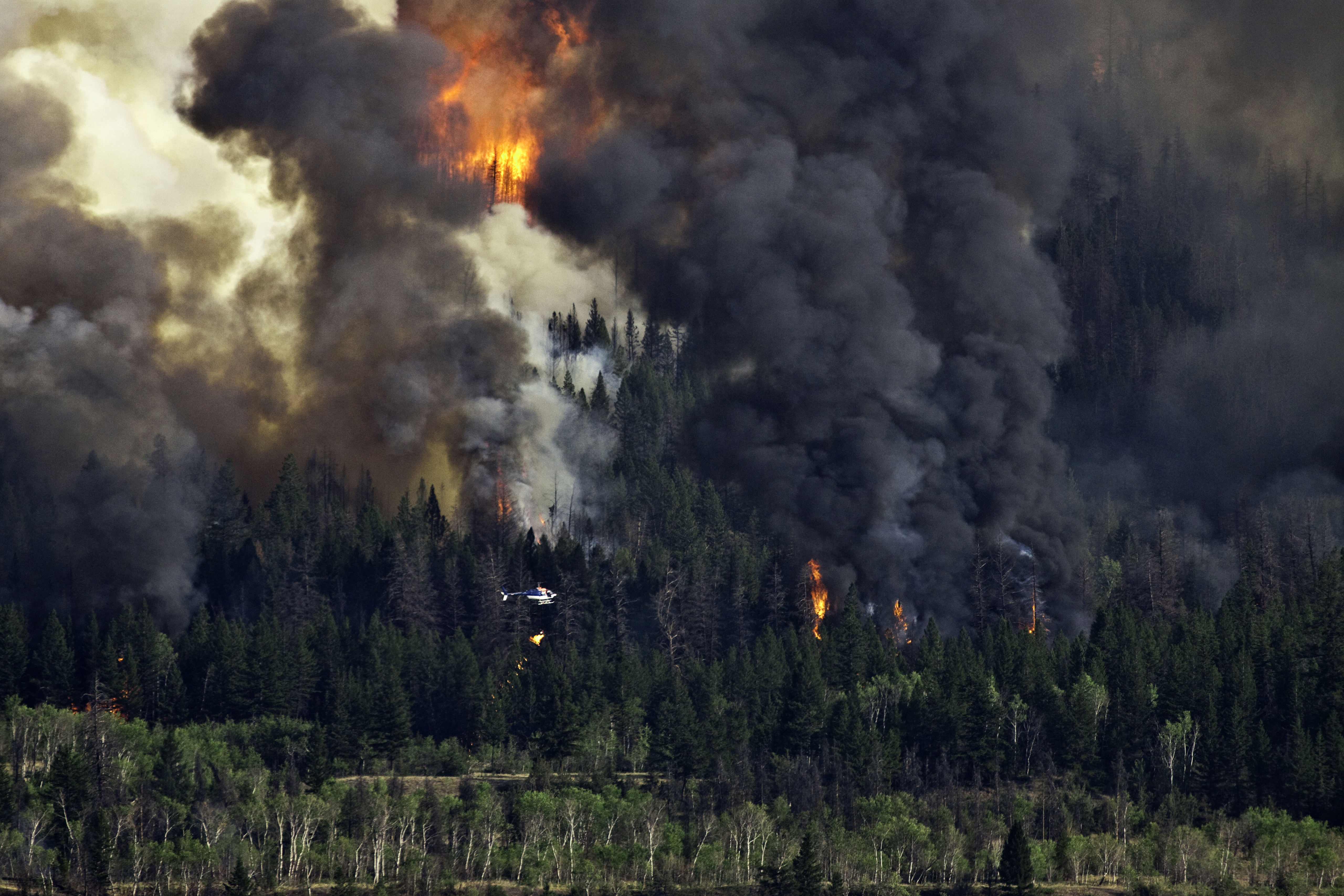 A forest on fire with a helicopter flying over it. End of image description.