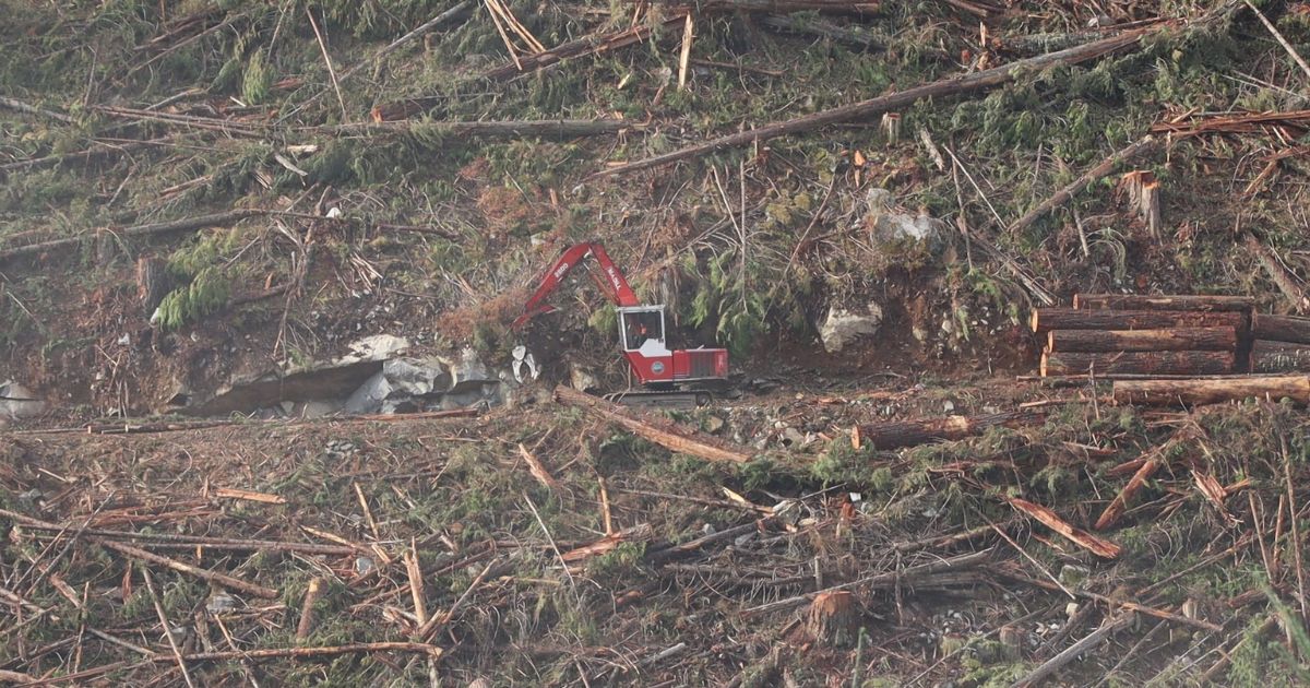 Logging machine in a logged area. End of image description.