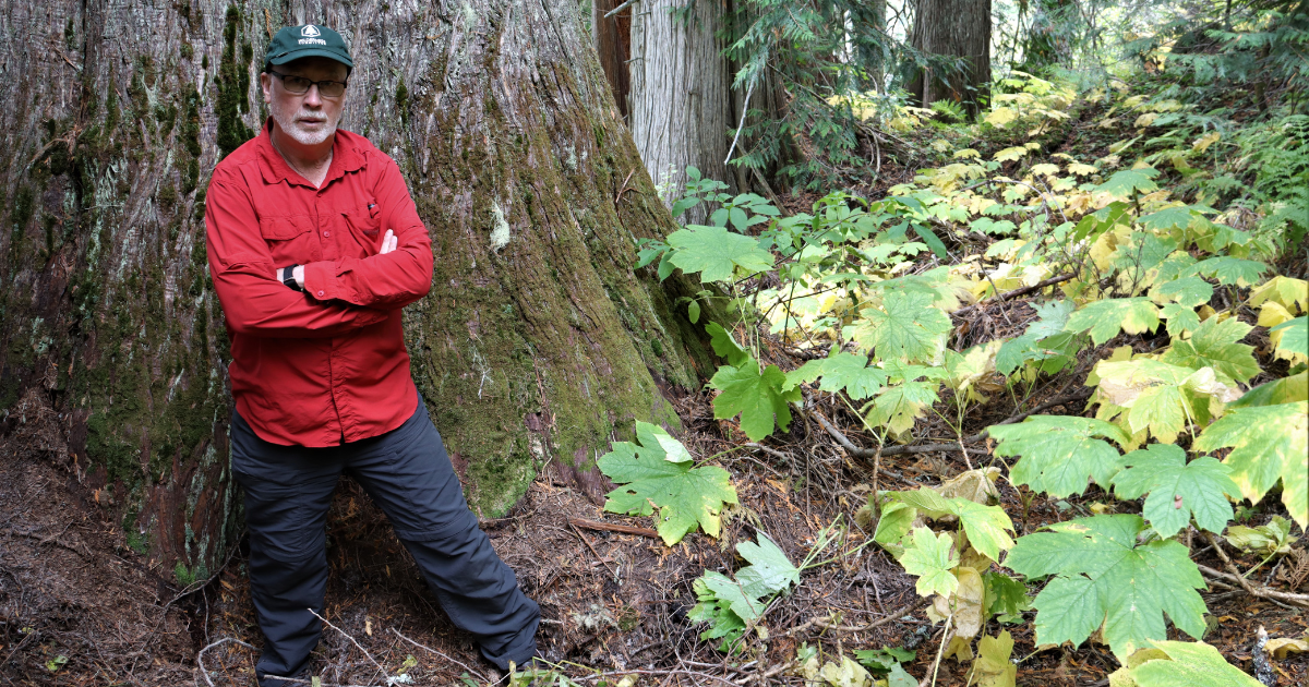 Joe Foy standing in front of an old-growth tree in the forest. End of image description. 