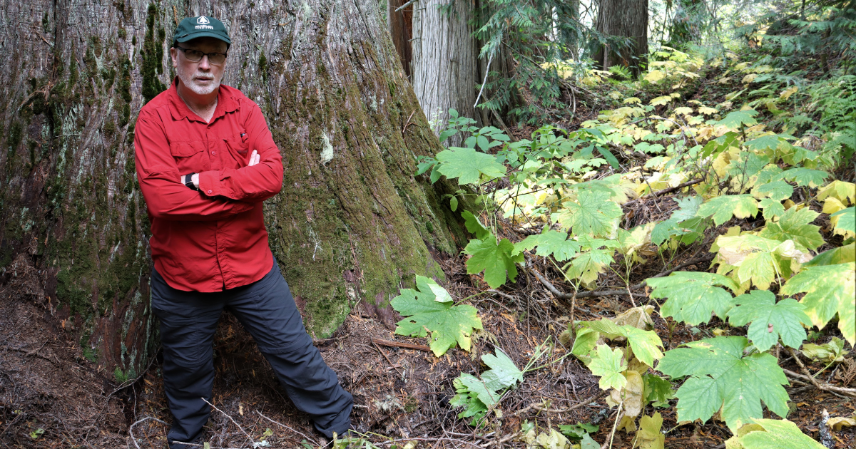 Joe Foy standing in front of an old-growth tree in the forest. End of image description.
