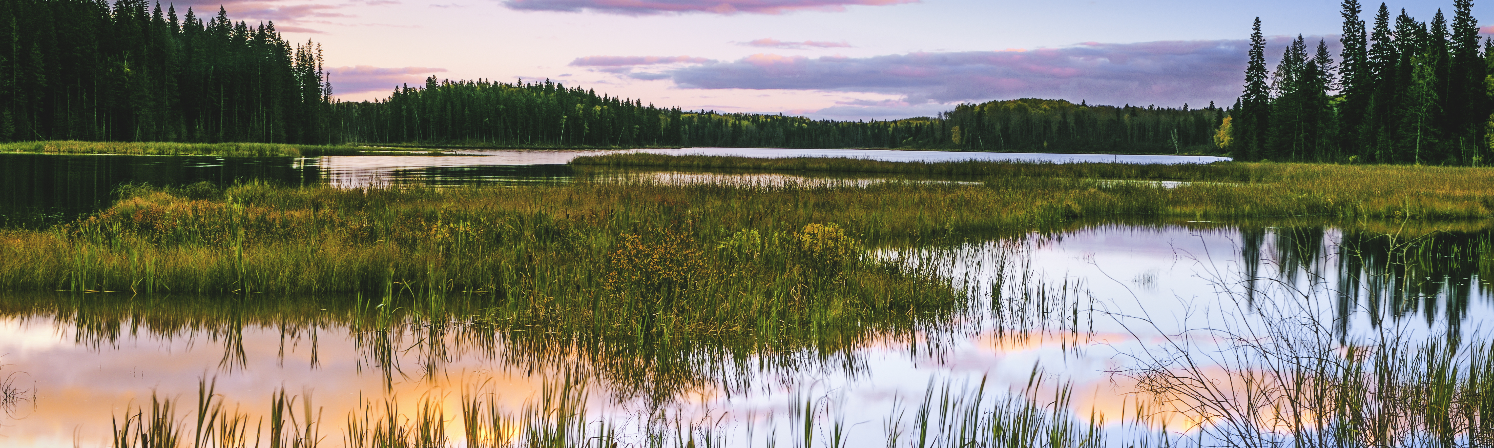 Wetlands