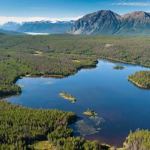 A wetland with forest around it and mountains in the background