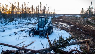 Bulldozing in a peatbog