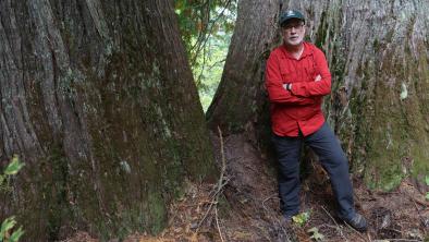 Protected Areas Campaigner Joe Foy standing by old-growth red cedar trees in spotted owl habitat in the Spuzzum Valley
