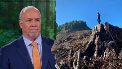 Left: BC Premier John Horgan. Right: Campaign Organizer Emily Hoffpauir standing on a huge stump in a clear cut.