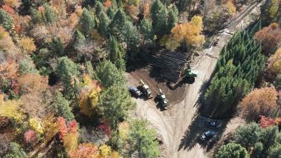 Aerial view of a logging road and a pile of logs with heavy machinery in otherwise intact forest in Algonquin Park.