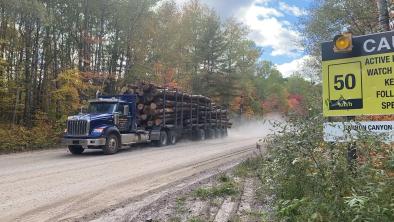 A truck full of trees speeds down a logging road.