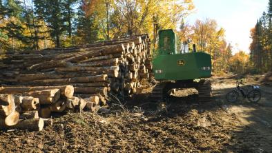A pile of logs with a John Deere machine next to it in a cleared forest area.