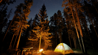 tent in the woods at night