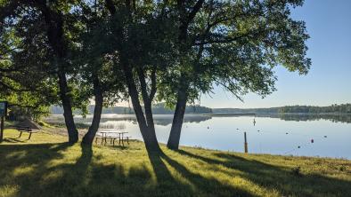 The sunlight filters through two trees with green leaves over a small section of a large lake in Turtle Mountain Provincial Park.