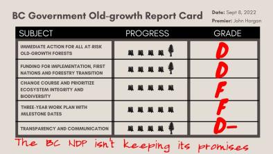 Old-growth report card