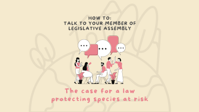 Illustration of a group of people talking to eachother. Text on the image says "how to talk to your member of legislative assembly. Case for a law protecting species at risk." End of image description.