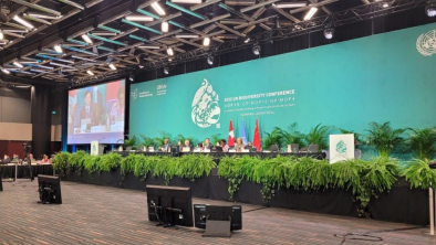 A group of people sitting at a panel in front of a large COP15 sign. There are several TV screens and lighting around them. End of image description.