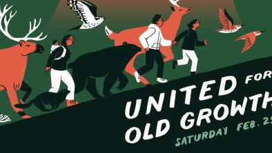 A hand drawn poster of humans running along with caribou, bears and other animals. Text on the poster says "United for Old Growth". End of image description.