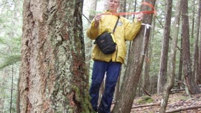 Joe Foy in Spotted Owl habitat in Utzlius Creek Valley, Fraser Canyon.