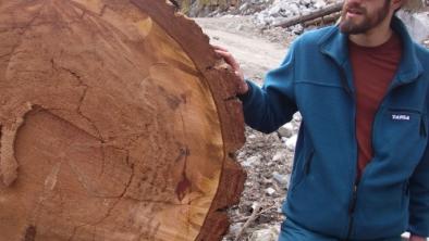 Geoff Senichenko documents logging of Spotted Owl habitat on Fire Mountain