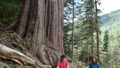 The Wilderness Committee's Torrance Coste and Em Hoffpauir in Caycuse Valley documenting old-growth logging