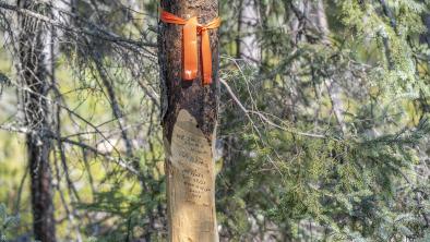 A mining claim post in Nopiming Provincial Park