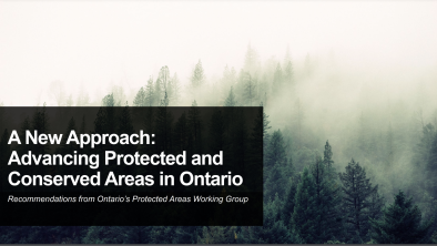 Research report cover